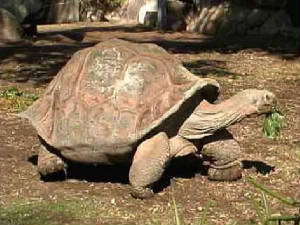 galapagos9.jpg