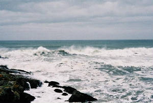surf.jpg