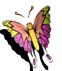 butterfly.gif