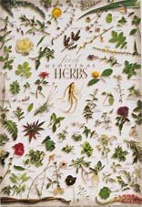herbs.jpg
