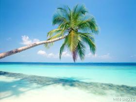 maldives.jpg