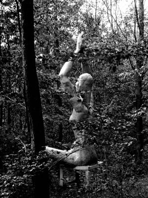 woman20of20thw20woods_jpg.jpg